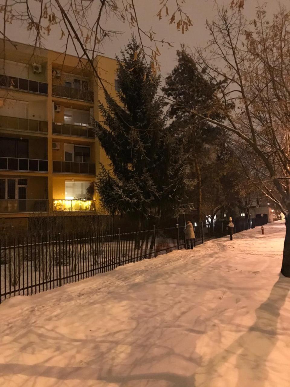 Wanderer 1 Διαμέρισμα Ντέμπρετσεν Εξωτερικό φωτογραφία